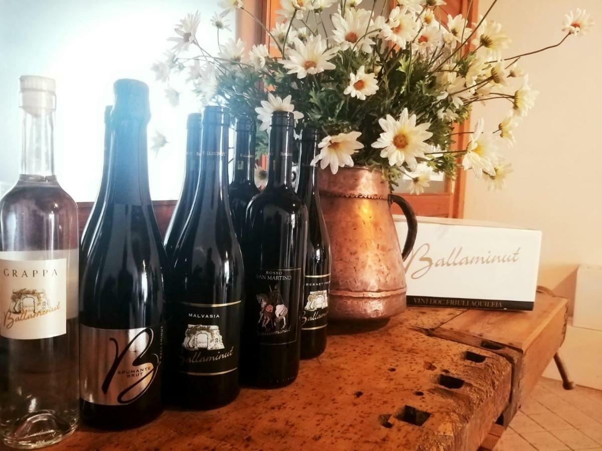 Agriturismo Ballaminut Terzo d' Aquileia Kültér fotó