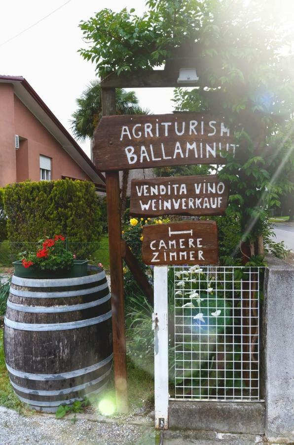 Agriturismo Ballaminut Terzo d' Aquileia Kültér fotó